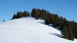 Preview wallpaper slope, snow, trees, traces, nature