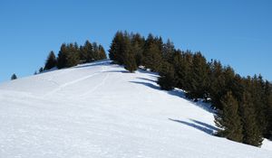 Preview wallpaper slope, snow, trees, traces, nature