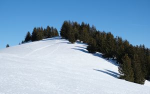 Preview wallpaper slope, snow, trees, traces, nature