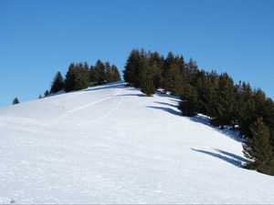 Preview wallpaper slope, snow, trees, traces, nature