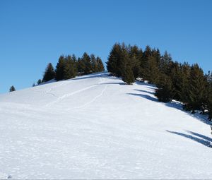 Preview wallpaper slope, snow, trees, traces, nature