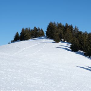Preview wallpaper slope, snow, trees, traces, nature