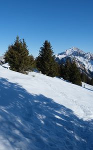 Preview wallpaper slope, snow, trees, mountains