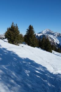Preview wallpaper slope, snow, trees, mountains