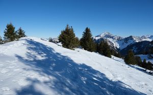 Preview wallpaper slope, snow, trees, mountains