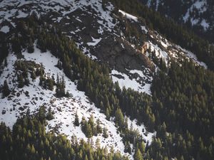 Preview wallpaper slope, spruce, trees, snow, snowy