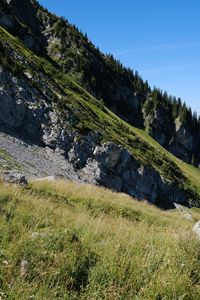 Preview wallpaper slope, stones, grass, relief, landscape, mountain