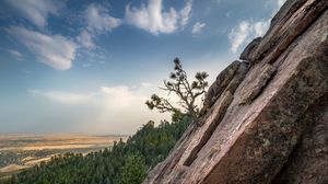 Preview wallpaper slope, tree, forest, horizon