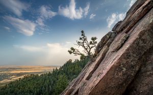 Preview wallpaper slope, tree, forest, horizon