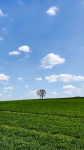 Preview wallpaper slope, tree, grass, horizon, sky