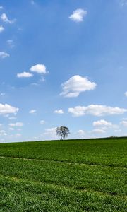 Preview wallpaper slope, tree, grass, horizon, sky