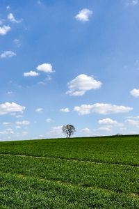 Preview wallpaper slope, tree, grass, horizon, sky