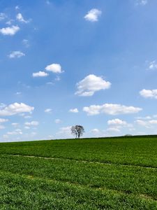 Preview wallpaper slope, tree, grass, horizon, sky