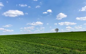 Preview wallpaper slope, tree, grass, horizon, sky