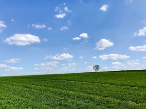 Preview wallpaper slope, tree, grass, horizon, sky