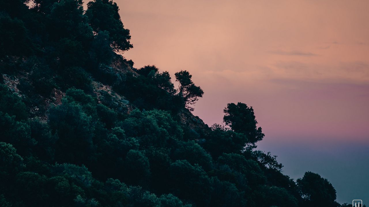 Wallpaper slope, trees, bushes, sky