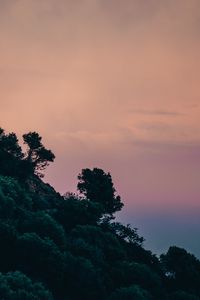 Preview wallpaper slope, trees, bushes, sky