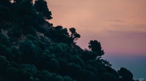 Preview wallpaper slope, trees, bushes, sky