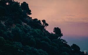 Preview wallpaper slope, trees, bushes, sky