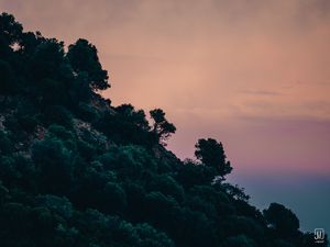 Preview wallpaper slope, trees, bushes, sky
