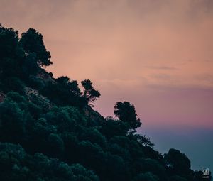 Preview wallpaper slope, trees, bushes, sky