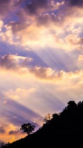 Preview wallpaper slope, trees, dawn, clouds, sky