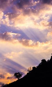 Preview wallpaper slope, trees, dawn, clouds, sky