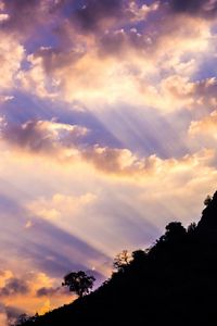 Preview wallpaper slope, trees, dawn, clouds, sky