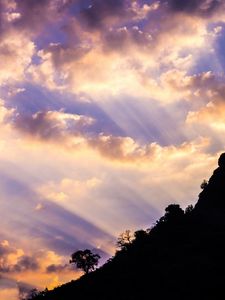 Preview wallpaper slope, trees, dawn, clouds, sky