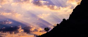 Preview wallpaper slope, trees, dawn, clouds, sky