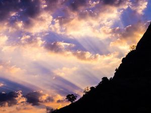 Preview wallpaper slope, trees, dawn, clouds, sky