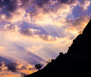 Preview wallpaper slope, trees, dawn, clouds, sky