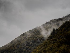 Preview wallpaper slope, trees, fog, hill