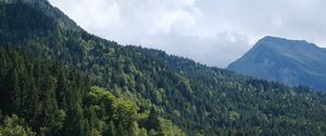 Preview wallpaper slope, trees, forest, mountains, nature, sky, landscape