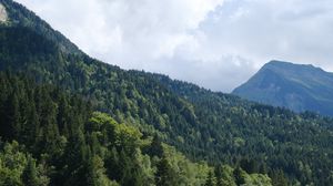 Preview wallpaper slope, trees, forest, mountains, nature, sky, landscape