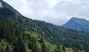 Preview wallpaper slope, trees, forest, mountains, nature, sky, landscape