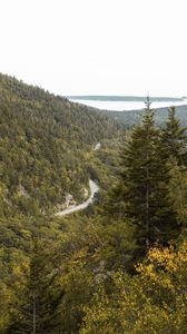 Preview wallpaper slope, trees, forest, road, gorzinot