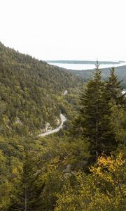 Preview wallpaper slope, trees, forest, road, gorzinot