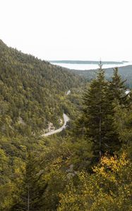 Preview wallpaper slope, trees, forest, road, gorzinot