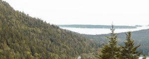 Preview wallpaper slope, trees, forest, road, gorzinot