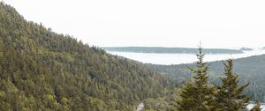 Preview wallpaper slope, trees, forest, road, gorzinot