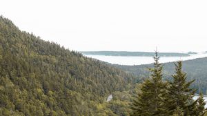Preview wallpaper slope, trees, forest, road, gorzinot