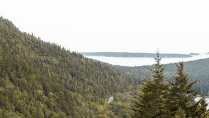Preview wallpaper slope, trees, forest, road, gorzinot