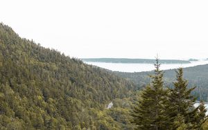 Preview wallpaper slope, trees, forest, road, gorzinot