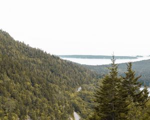Preview wallpaper slope, trees, forest, road, gorzinot