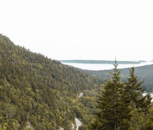 Preview wallpaper slope, trees, forest, road, gorzinot