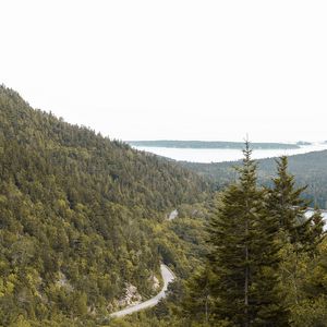 Preview wallpaper slope, trees, forest, road, gorzinot