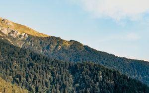 Preview wallpaper slope, trees, forest, sky