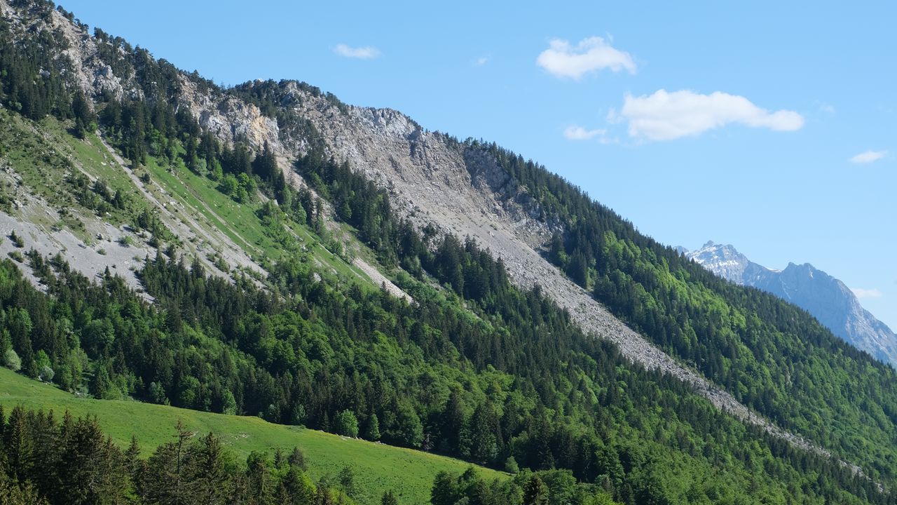 Wallpaper slope, trees, forest, mountains