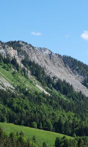 Preview wallpaper slope, trees, forest, mountains